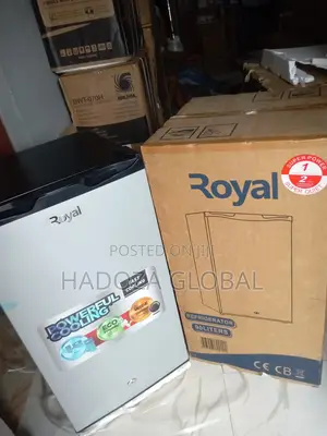 Eco Friendly Direct Cool Royal 90litres Refrigerator