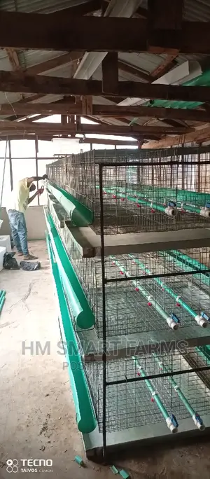 Day Old Cage
