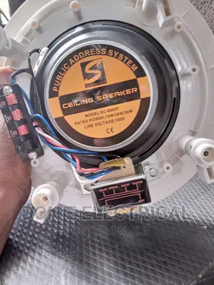 30watt Ceiling Speaker