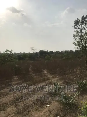 Farm for Sale