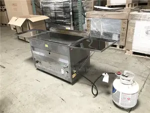 Propane Standing Deep Fryer (Gas) Donut Fryer/Multipurpose