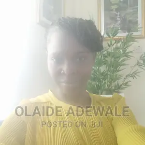 Online and Home Tutor