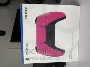 Ps5 Game Pad