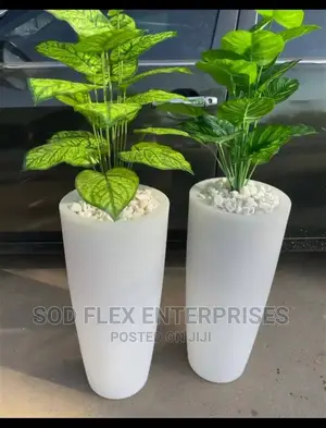 Imported Pot With Flower And Stone