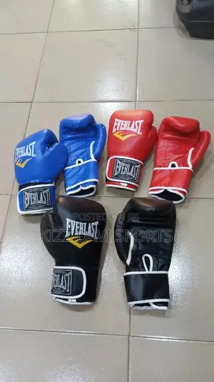 Everlast Boxing Gloves Good Quality