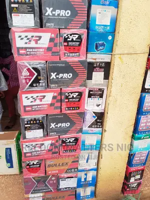 Original Sunfit Car Battery
