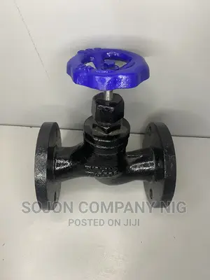 England Globe Valve Flange Type