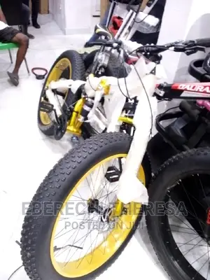 Big Tyre Bicycle