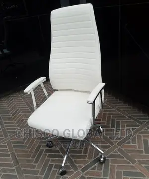 Office Chair (Ergonomic)