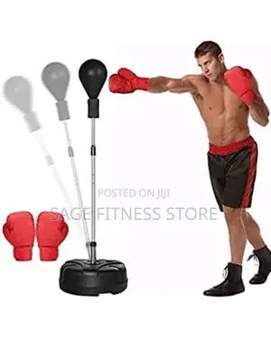Standing Punching Ball Set(Adult)