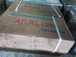 Self Priming Electric Pump