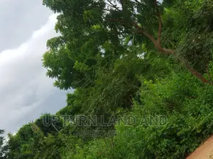 320 Acres of Land Opposite Dominion City University.