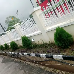 (Cone)Thuja Plants for Spotted Hedges for Home, Malls Etc
