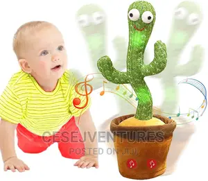 Cactus Baby Toys