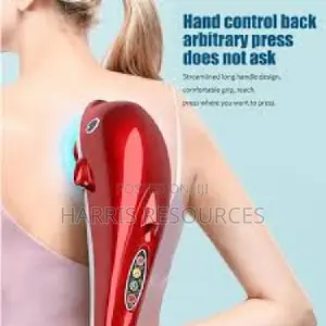 Dolphin Massager
