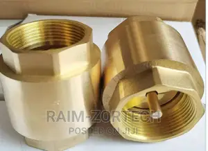 Brass Socket Non-Return Valve Iron Tongue