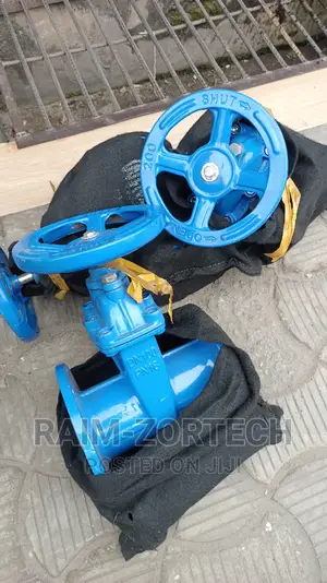 Sluice Gate Valve 4" Class 125