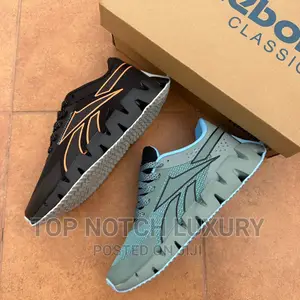 *Reebok Zig Dynamica 2.0 Adventure*