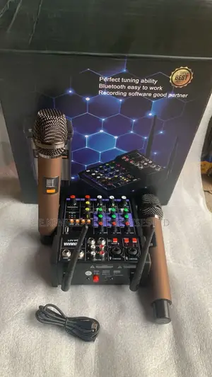 4 Channels Professional Audio Mixer Two Wireless Microphones