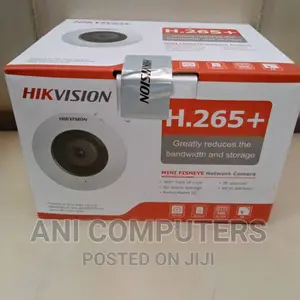 Hikvision H.265+ Mini Bullet Fisheye Analog