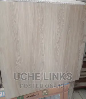 Glossy Goodwill Floor Tiles