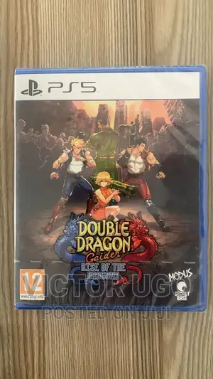 Double Dragon Gaiden- Rise of the Dragons