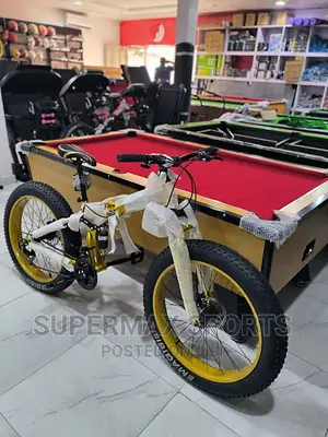 Everlasting Big Tyre Bike