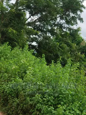 600 Acres Beside Foursquare Camp, Facing Ibadan/Lagos Expres