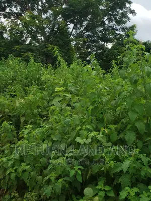 600 Acres at Opposite Gofamint Camp Lagos/ Ibadan Express Wa