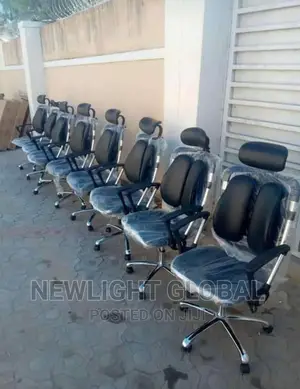 Ergonomic Office Chair (For Back Pain Support)