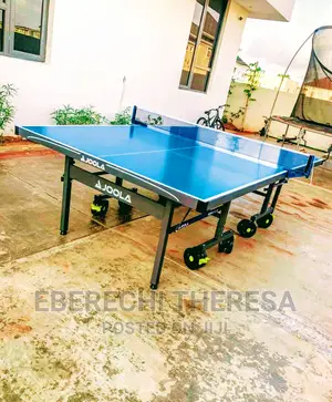 Heavy Duty Joola Outdoor Table Tennis Table