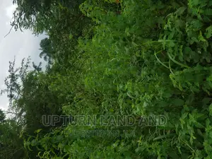 150 Acres Beside Technical University, Lagos-Ibadan Expressw