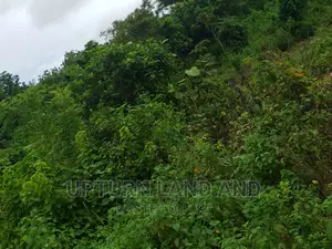 1000 Acres at Àlapako, Along Ibadan/Lagos Express Road