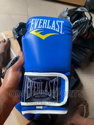Blue Everlast Boxing Glove B483