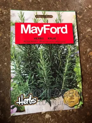 Rosemary Seed