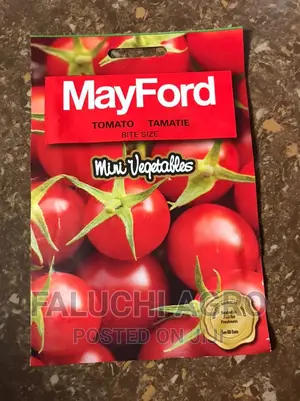 Cherry Tomato Seeds