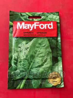 Spinach Seeds ( Viroflay Species)
