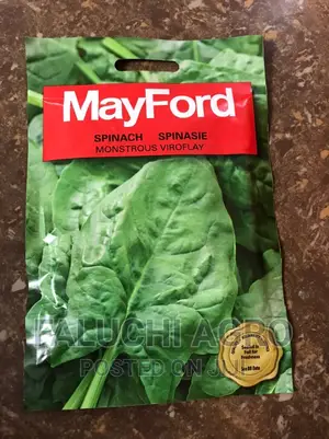 Spinach Seeds ( Viroflay Species)