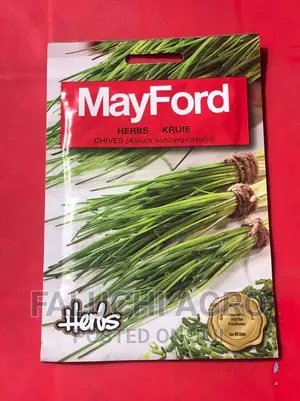 Chives Seed