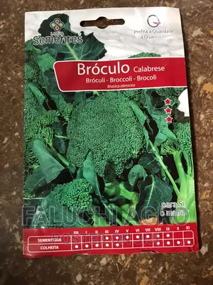 Broccoli Seed