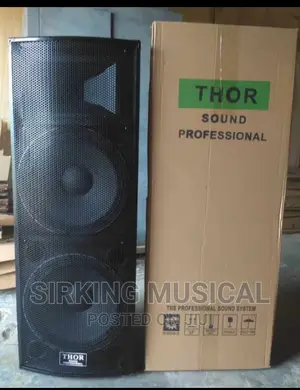 T-T 25 THOR SOUND Double Semi Acoustic Speaker