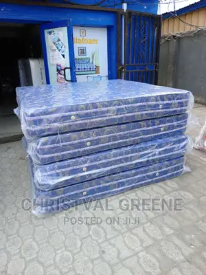 6x6x10 Inches Vita Spring Mattress