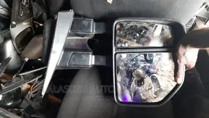 Side Mirror for F150 2017 Model