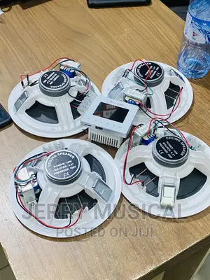 Ceilings Speakers With in Wall Amplifier