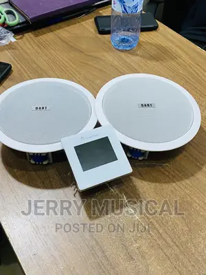 D10 Ceiling Speakers With in Wall Amplifier