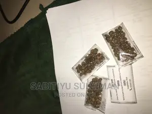 Ghana Miracle Seed