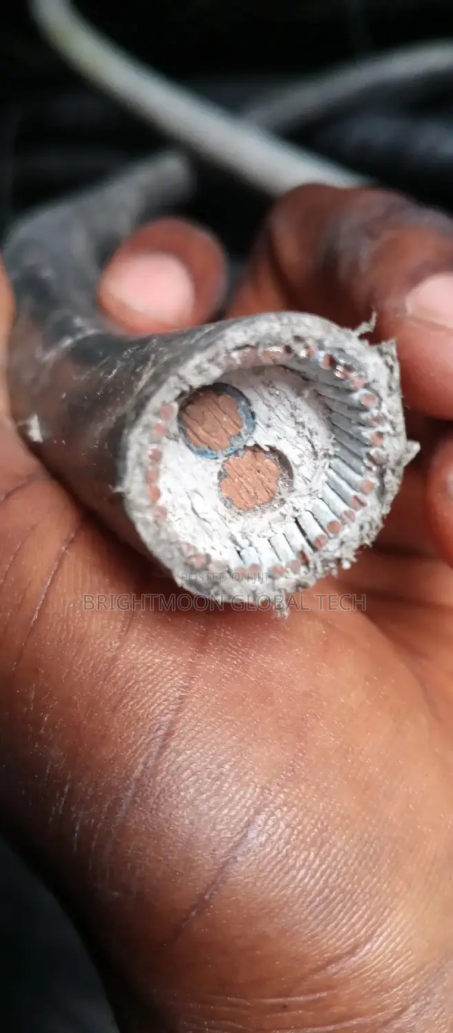 16mm 2core Armoured Cable
