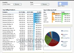 Data Entry, Analysis, Virtulization and Data Management