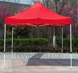10x10 Foldable Canopy