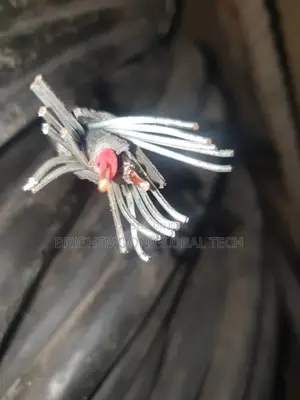 1.5mm 2core Nigerchin Armoured Cable